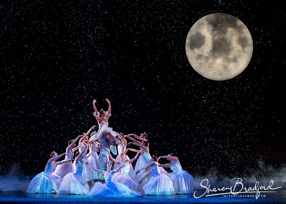 Nutcracker matinee pc Sharen Bradford-5264