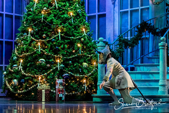 Nutcracker dress pc Sharen Bradford-3074