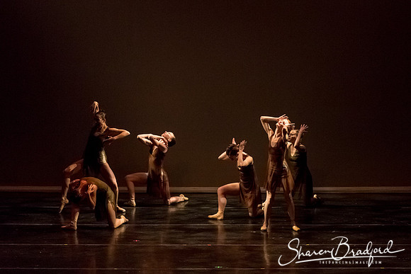 Ballet Dallas Seasons pc Sharen Bradford-1390