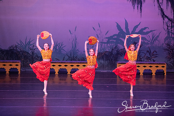 TDC La Bayadere pc Sharen Bradford-2901