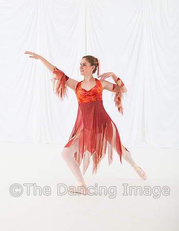 Moen_1446