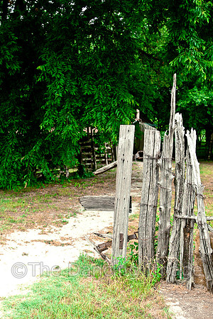 Penn Farm-0721