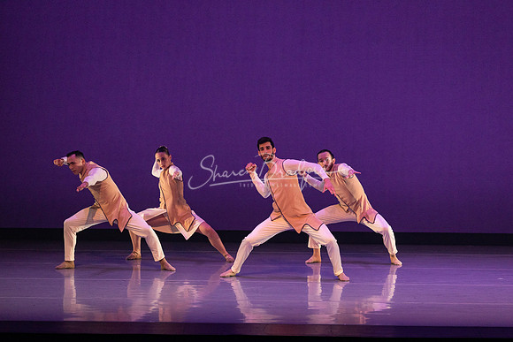 BWD When the Sky Fell Purple pc Sharen Bradford-5539