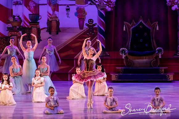 CCBT Nutcracker 19 pc Sharen Bradford-5356