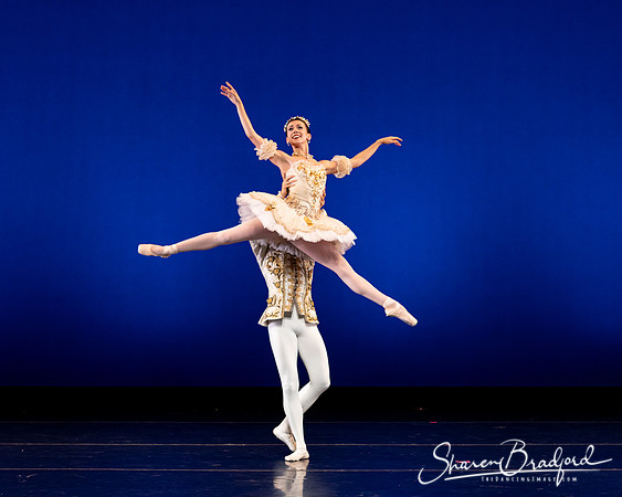 Texas Ballet Theater pc Sharen Bradford-1198