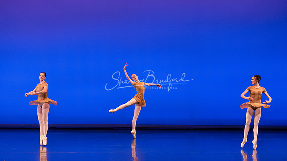 BNT Petit Symphonie pc Sharen Bradford-0171