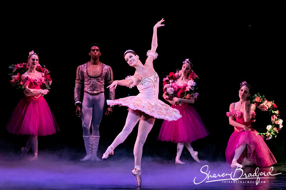Nutcracker matinee pc Sharen Bradford-5317