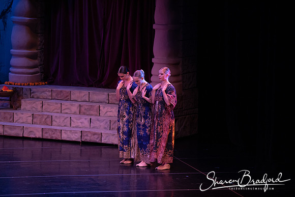 TDC La Bayadere pc Sharen Bradford-2410