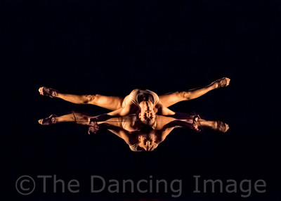 Echoes of Narcissus pc Sharen Bradford-0662