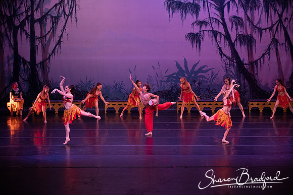 TDC La Bayadere pc Sharen Bradford-3010