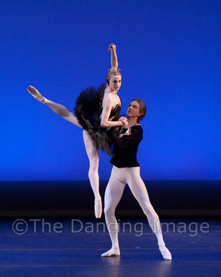 Black Swan-1111