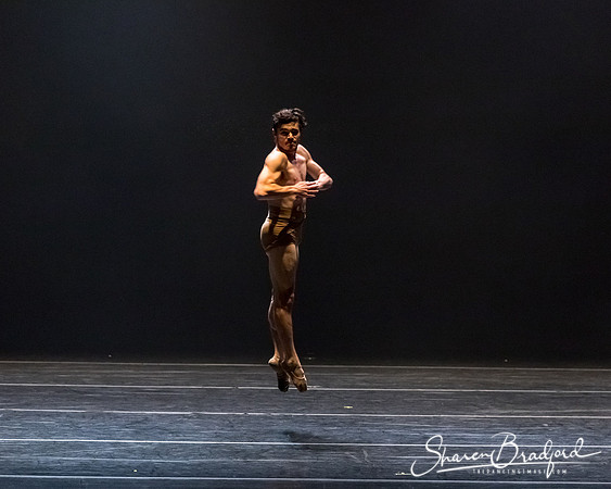 Bach 25_pc Sharen Bradford-2-66