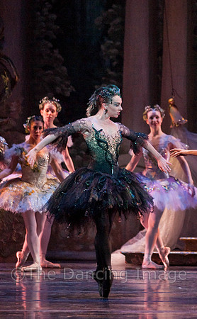 TB Sleeping Beauty Wed.-0518