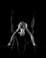 Sharp Show-0392