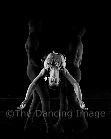 Sharp Show-0392