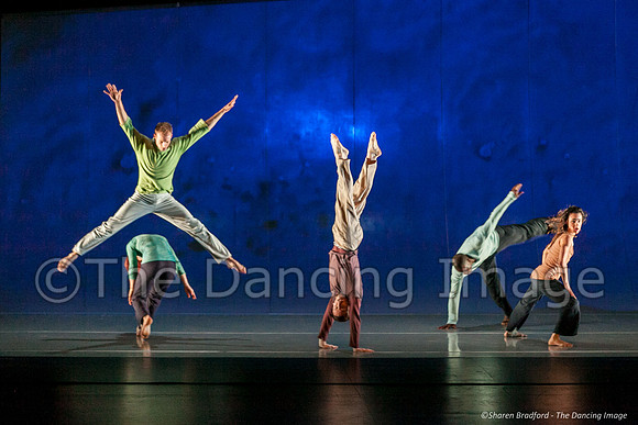 Motionhouse SCATTERED-0254