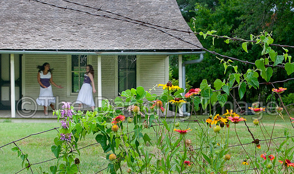 Penn Farm-0904