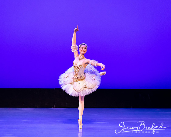 TBT Sleeping Beauty Pas pc Sharen Bradford-1533