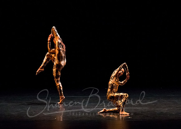 Petronio Dance_Hardness 10_ pc Sharen Bradford-7351