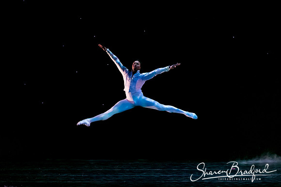 Nutcracker eve pc Sharen Bradford-6753