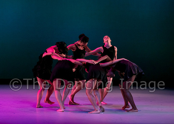 DBDT-2447