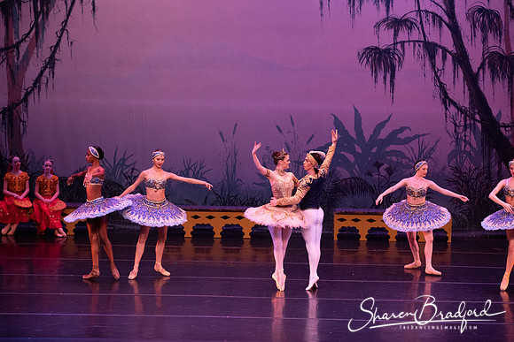 TDC La Bayadere pc Sharen Bradford-3146