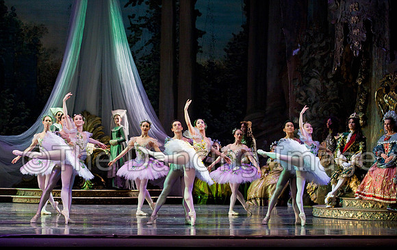 TB Sleeping Beauty Wed.-0126