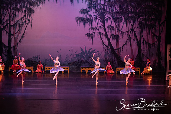 TDC La Bayadere pc Sharen Bradford-3216