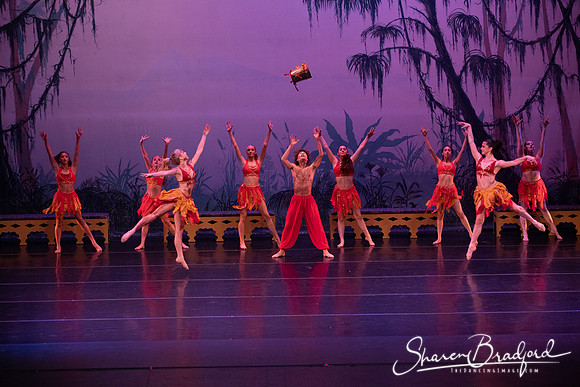 TDC La Bayadere pc Sharen Bradford-3037