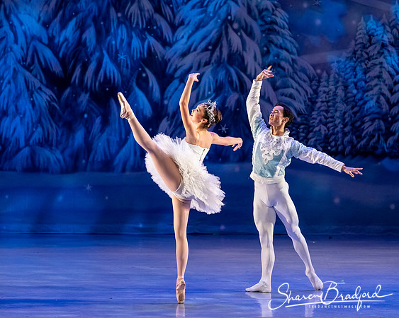 CCBT Nutcracker 19 pc Sharen Bradford-4894