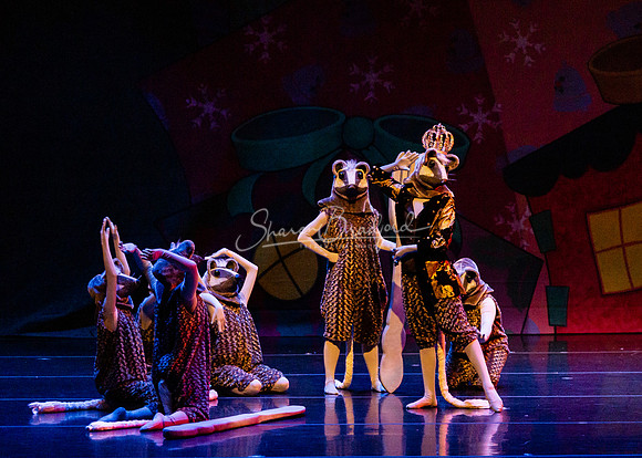 BNT Nutcracker Battle pc Sharen Bradford-0730