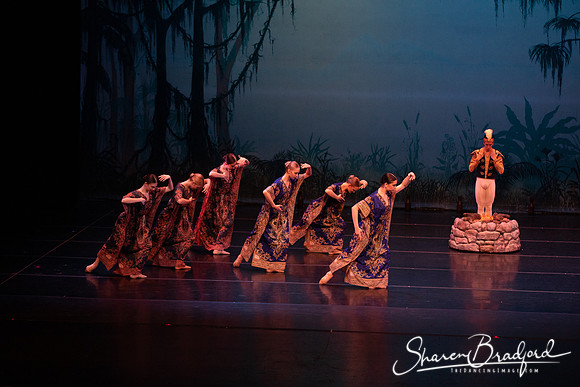 TDC La Bayadere pc Sharen Bradford-2400