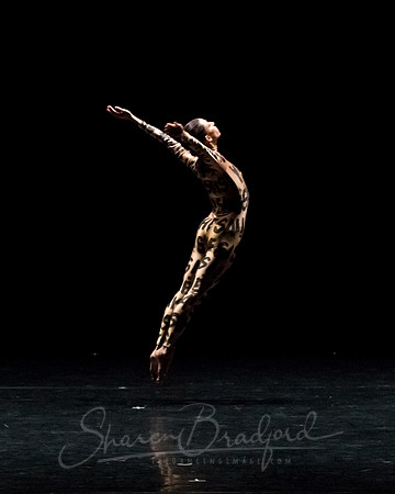 Petronio Dance_Hardness 10_ pc Sharen Bradford-7397