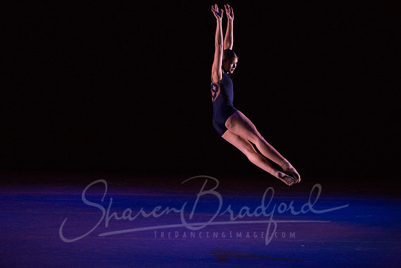 VOLANT  pc Sharen Bradford-9776