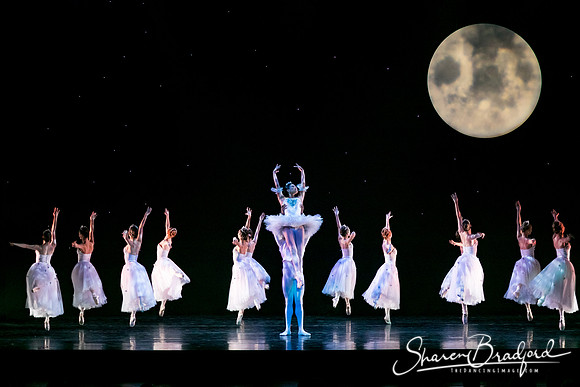 Nutcracker eve pc Sharen Bradford-6823