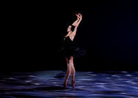 Olga Pavlova_The Dying Swan-3846