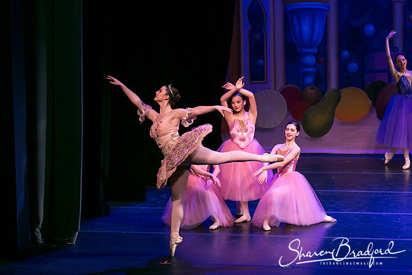 Waltz of the Flowers pc Sharen Bradford-1769