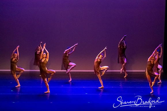 Ballet Dallas Seasons pc Sharen Bradford-1503