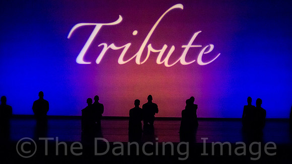 Tribute-1618