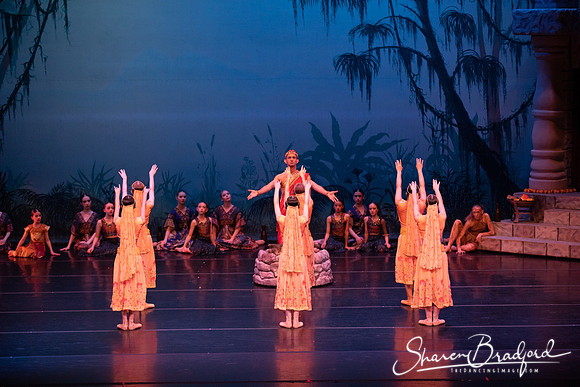 TDC La Bayadere pc Sharen Bradford-2446