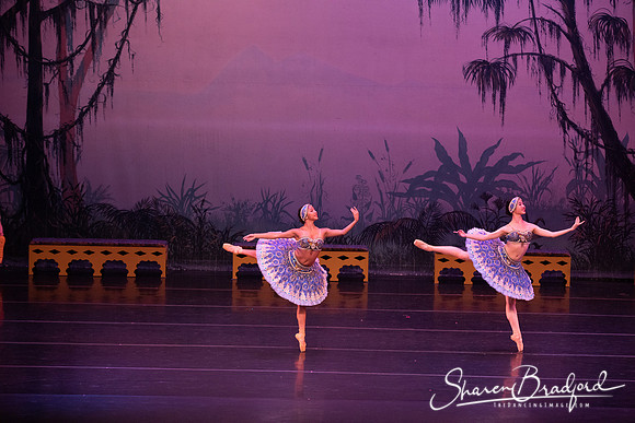 TDC La Bayadere pc Sharen Bradford-2942