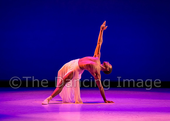 Jared Brown-4828