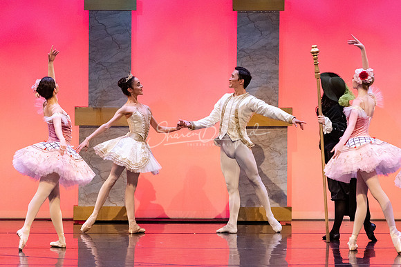 Ballet NTX Sleeping Beauty pc Sharen Bradford-1669