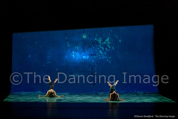 Motionhouse SCATTERED-0323