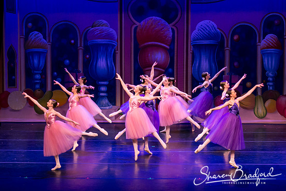 Waltz of the Flowers pc Sharen Bradford-1854