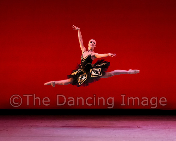 Texas Ballet Theater School-1552