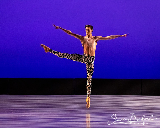 Ballet 37 pc Sharen Bradford-0506