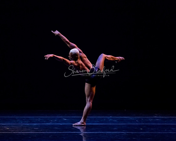 Goldberg pc Sharen Bradford-8146
