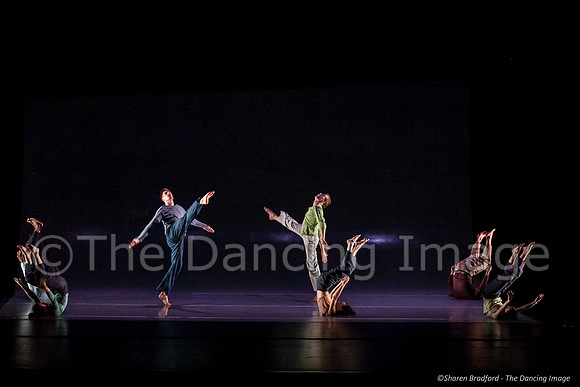 Motionhouse SCATTERED-0557