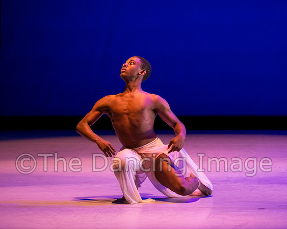 Jared Brown-4849